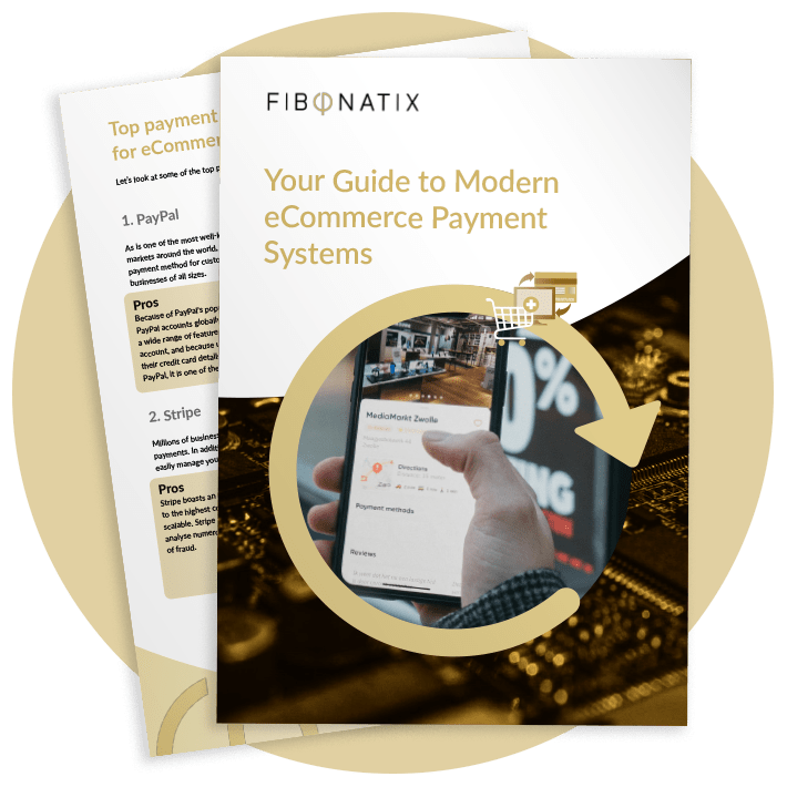 Guide to Modern Payment Systems Fibonatix Guide